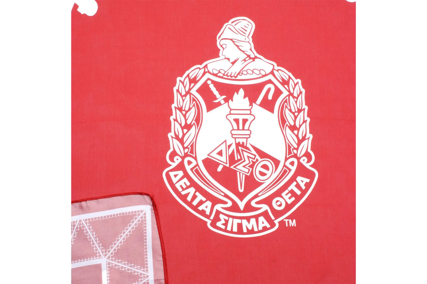 Delta Sigma Theta Lady Fortitude Scarf