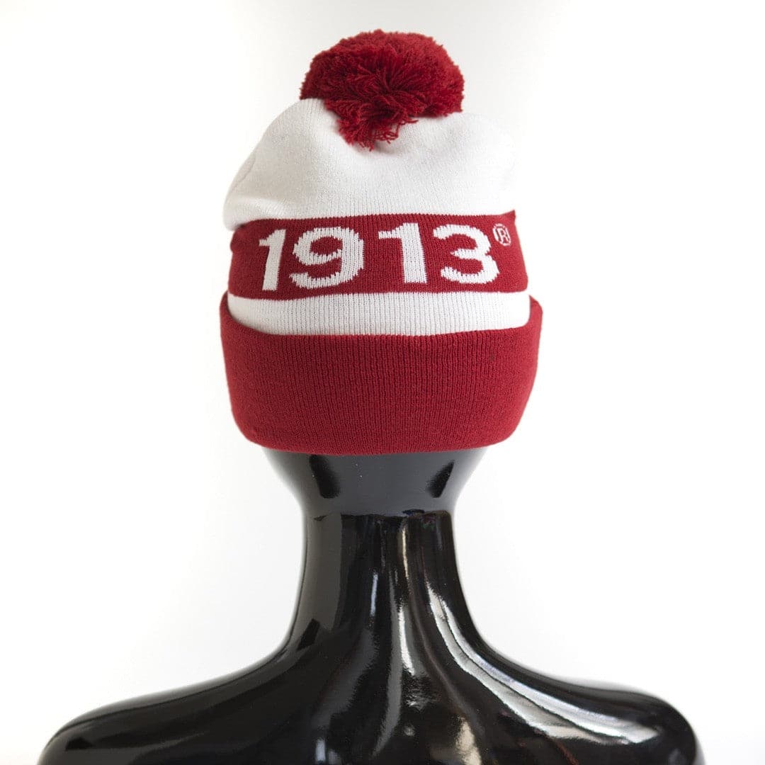 Delta Sigma Theta Red & White Beanie Cap